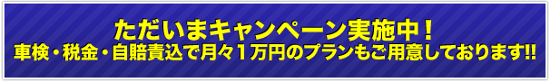 ただいまキャンペーン実施中！ 車検・税金・自賠責込で月々１万円のプランもご用意しております!!